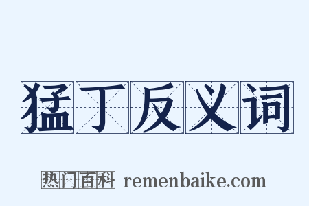 猛丁反义词是什么意思的图片